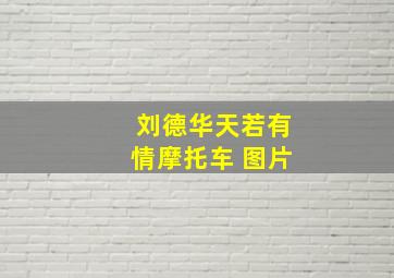 刘德华天若有情摩托车 图片